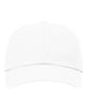 Sustainable Ashland Dad Hat